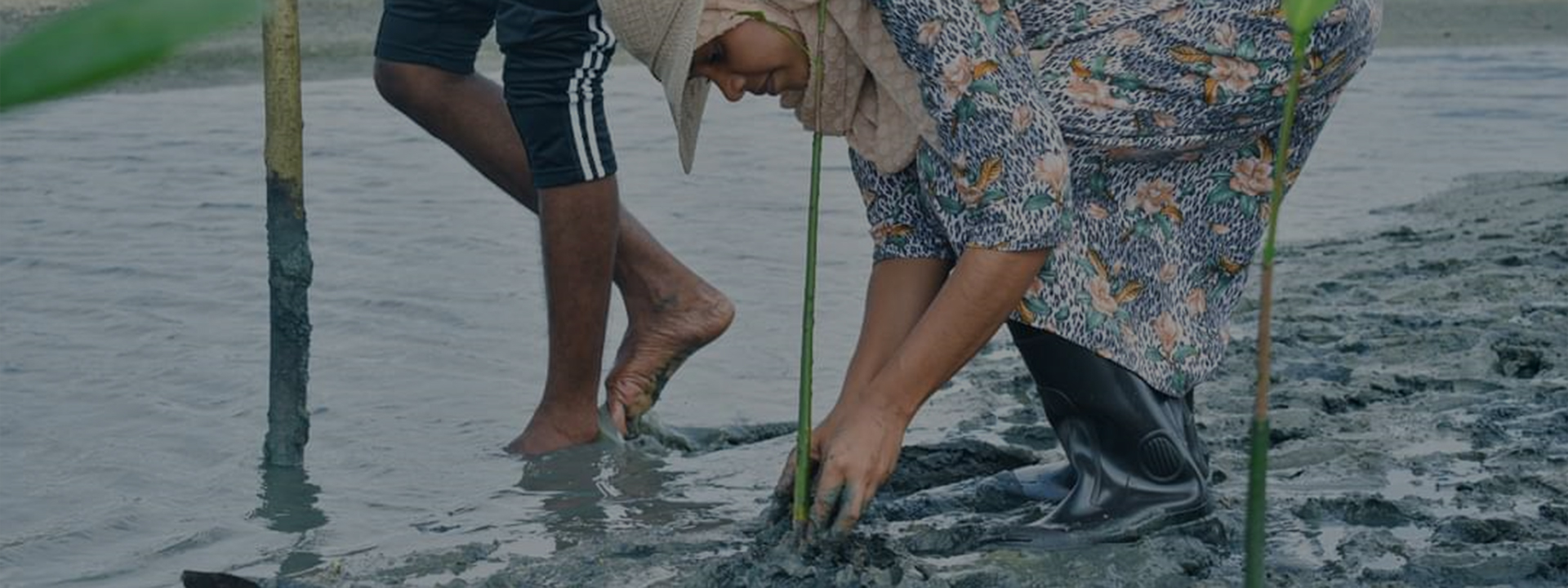Family Wellbeing Centre